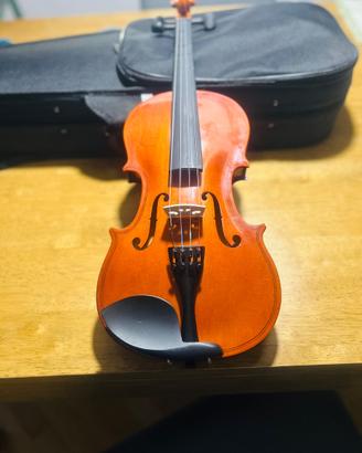 Violino