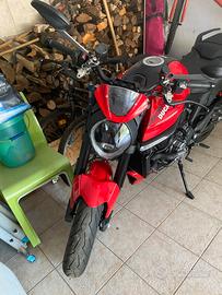 Ducati Monster