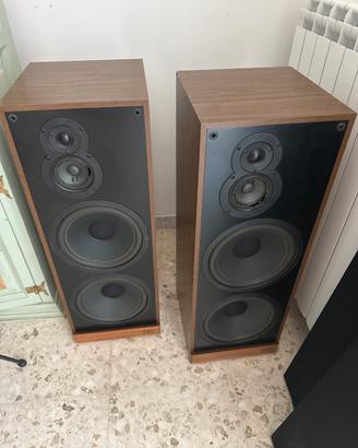 Cassse cdx sb 7