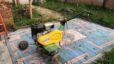 motozappa appena revisionata