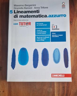 Lineamenti di matematica.azzurro 5