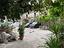 Immagine 12