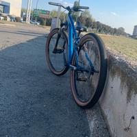 Bici dirt
