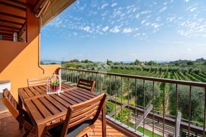 3 LOCALI A PUEGNAGO SUL GARDA