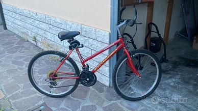 Bici mountain bike Bottecchia
