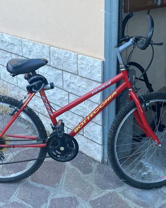 Bici mountain bike Bottecchia