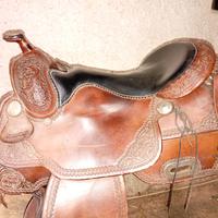 sella americana Billy cook 