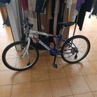 bicicletta Mountain bike 