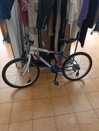 bicicletta Mountain bike 