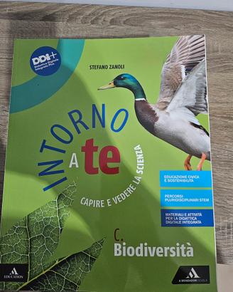 Intorno a te