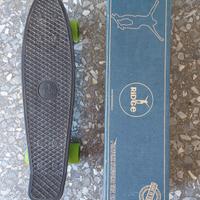 penny skateboard ridge