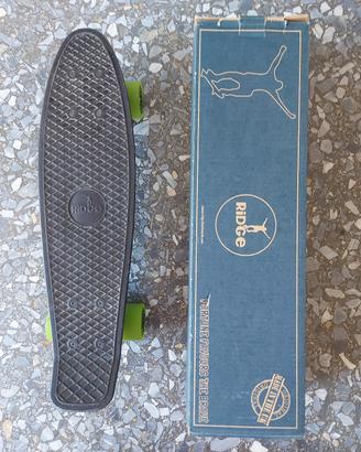 penny skateboard ridge