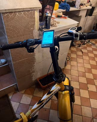 Bici elettrica reset redwood 36v 250w  batteria 48