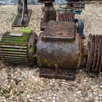 impianto pulizia animali