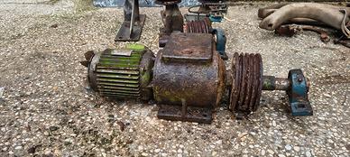 impianto pulizia animali