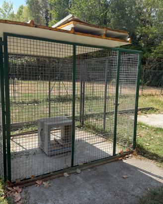 gabbie box per cani /animali in ferro con tetto co