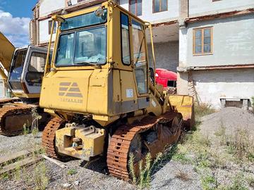 Pala cingolata Fl10E