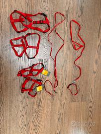 Pettorina H e guinzagli cuccioli o toy