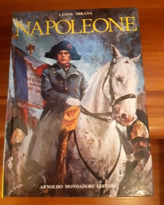 Libri narrativa sulla Francia