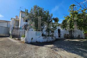 Stabile/Palazzo Diamante [3VRG]