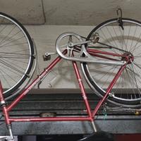 bici vintage uomo carraro