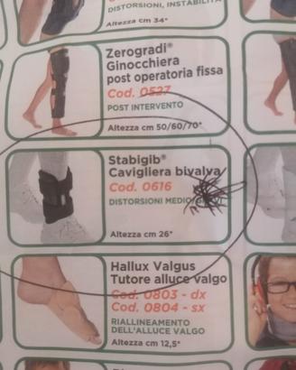 Cavigliera stabigib bivalva 