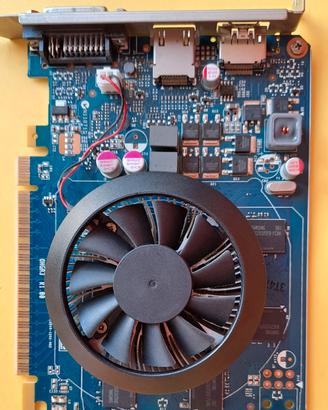 Scheda video NVIDIA