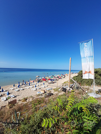 Da Giugno a fine Settembre