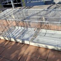 Gabbia cova voliera 120cm