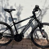Bici bambino