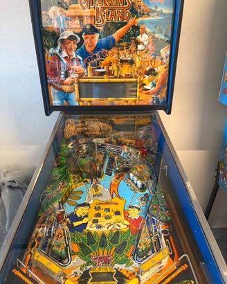 Flipper gilligands island