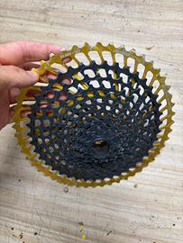 Cassetta mtb Leonardi racing 12v