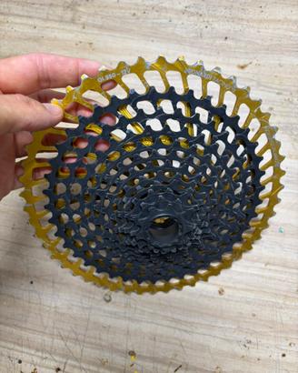 Cassetta mtb Leonardi racing 12v