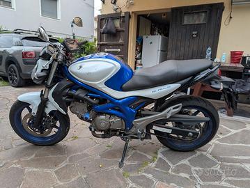Suzuki Gladius 650 - Ferma da 2 anni - Ideale rest
