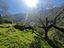 Immagine 18