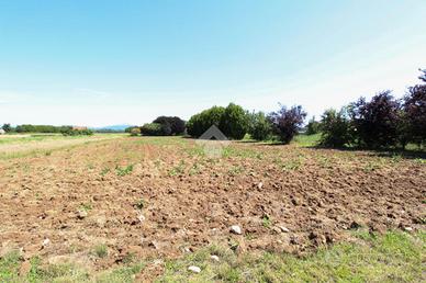 TER. AGRICOLO A VIMERCATE