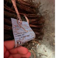 Barbatelle Pinot nero