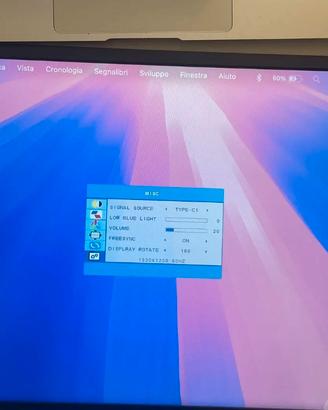 Monitor usbc 17”