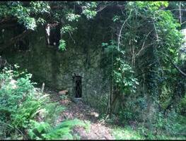 Rustici sesta godano