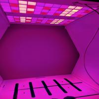 grow box linfa weezy