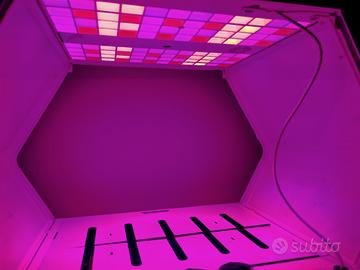 grow box linfa weezy