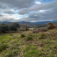 Prignano Cilento - terreno edificabile