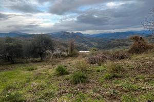 Prignano Cilento - terreno edificabile