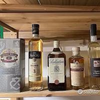 Bottiglie grappa whisky