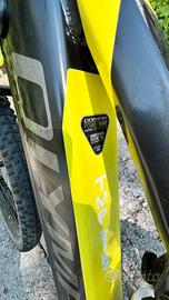 Stupenda Ebike Olympia ex 900 sport