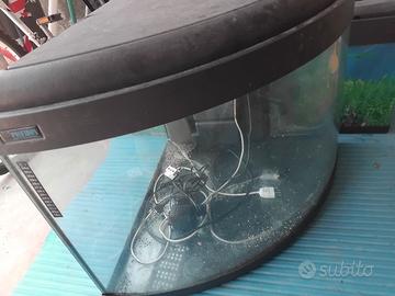 Acquario poisedon