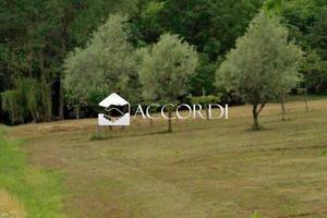 Rif.MDP120_8| area edificabile conegliano