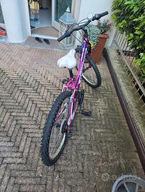 bicicletta Montana 24 polioci