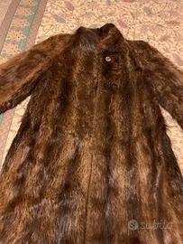 Pelliccia di castoro