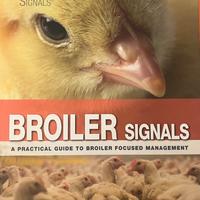 Broiler Signals: A Practical Guide to Broiler…